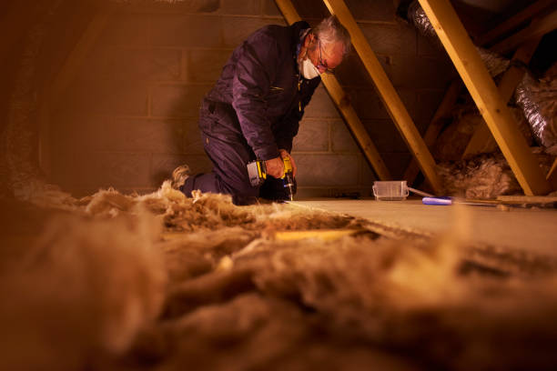 Best Spray Foam Insulation  in Gridley, IL